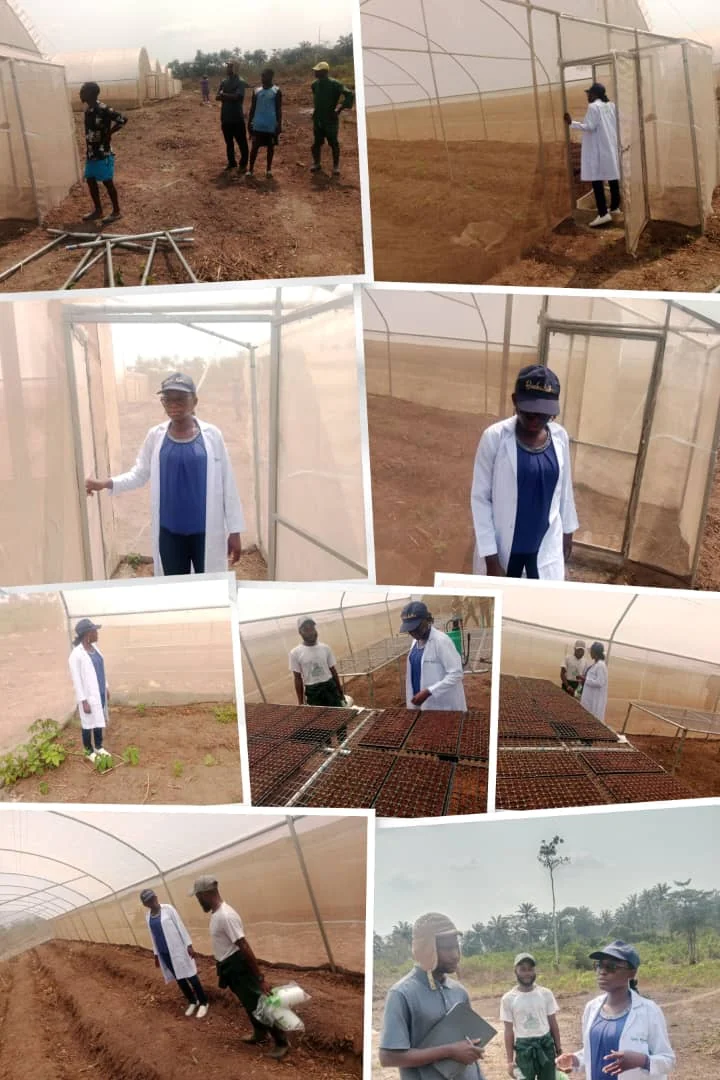 agriculture field